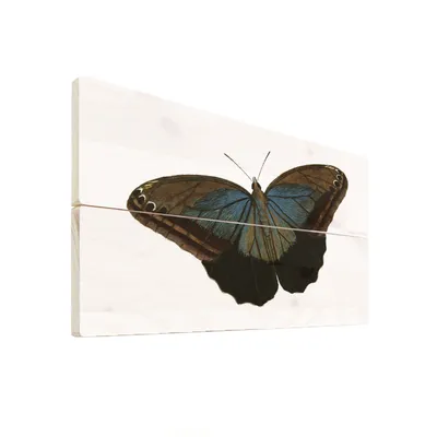 Produktbild von Wanddekoration Holz Gemälde - Illustration eines braunen Schmetterlings mit blauen Details - 120x80 cm - Wanddekoration - Wohnzimmer - Schlafzimmer