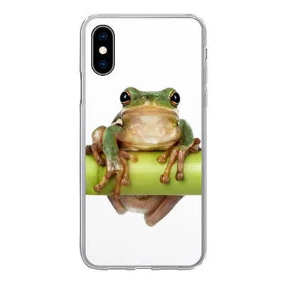 Produktbild von MuchoWow® Handyhülle Schutzhülle Hülle für iPhone X Frosch - Bambus - Weiß Silikon Softcase Handy Hülle - Handyhülle