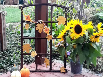 Großes Stallfenster