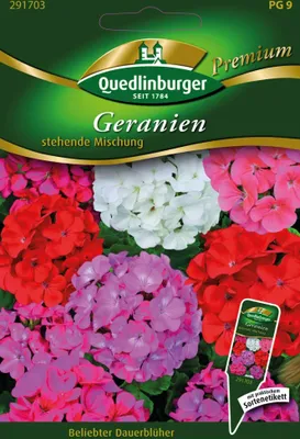 Artikelbild 1 von 'Geranien stehende Mischung' aus der Kategorie Geraniensamen
