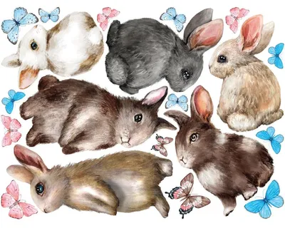 Produktbild von Wandaufkleber – Hasen und Schmetterlinge – Transparenter Hintergrund – 120 x 160 cm