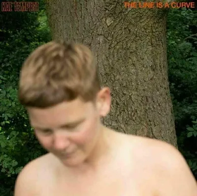 Produktbild von Kae Tempest - The Line Is A Curve (LP)