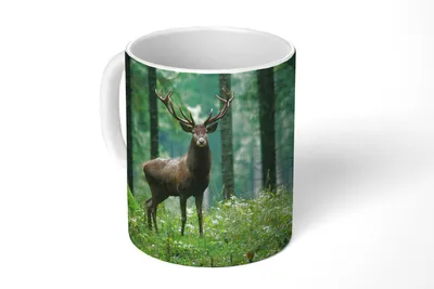 Produktbild von KitchenYeah® Tasse Kaffeetasse Kaffeebecher 350 ml Hirsche - Wald - Bäume - Tiere - Natur Teetasse - Fototasse - Becher - Keramikbecher - Teebecher - Kaffeetasse - Bürotasse