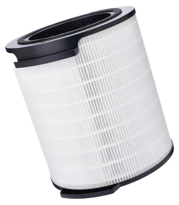 Ersatzfilter FY1700 für Philips 1000i, HEPA + Aktivkohle, 1 Stück