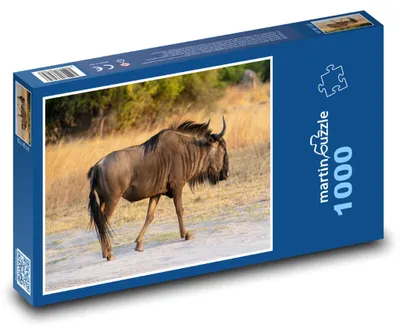 Obrázek produktu pro martinpuzzle - Puzzle 1000 - Pakůň