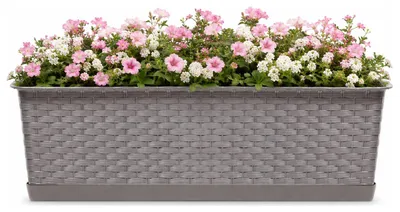 Produktbild von Kunststoff Ratolla Rattan Pflanzgefas/blumenkasten Set 6,3 Liter