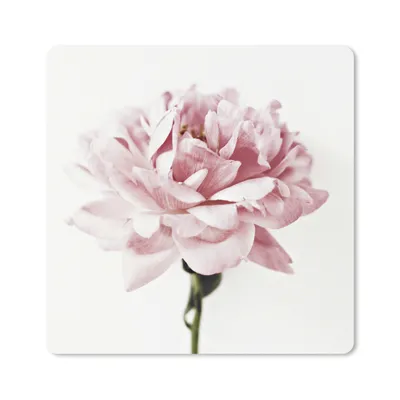 Produktbild von MuchoWow® Mauspad Mousepad Nahaufnahme einer rosa Pfingstrose 30x30 cm - Mousepads - Maus Mat - Pad - Mausunterlage - Gaming