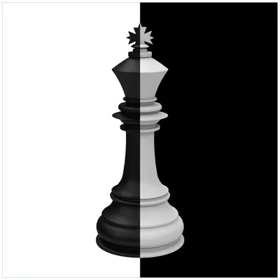 Produktbild von Wallario Magnet für Kühlschrank / Geschirrspüler, magnetisch haftende Folie - 60 x 60 cm, Motiv: Schachfigur schwarz-weiß