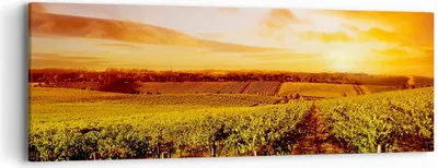 Produktbild von Bild auf Leinwand - Leinwandbild - Weinberg Aussicht Landschaft - 90x30cm - Wand Bild - Wanddeko - Leinwanddruck - Bilder - Kunstdruck - Wanddekoration - Leinwand bilder - Wandkunst - AB90x30-0170