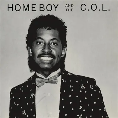 Immagine prodotto di Il ragazzo di casa e il C.o.l.