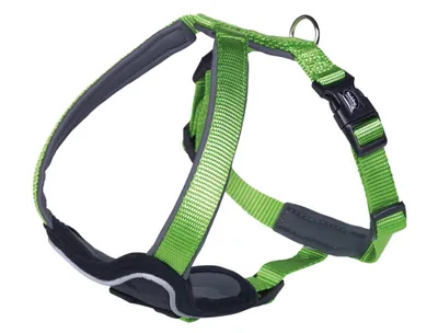 Produktbild von Nobby Classic Preno, Hund, Westengeschirr, M-L, Grün, Nylon, Einfarbig