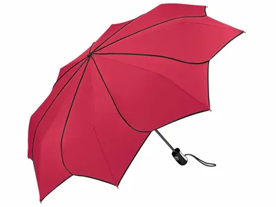Produktbild von Pierre Cardin Sonnenblumen-Regenschirm Rot
