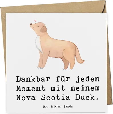 Produktbild von Mr. & Mrs. Panda Klappkarte Nova Scotia Duck Moment - Weiß - Geschenk, faltkarte, Tolling Retriever, Grußkarte, Glückwunschkarte, doppelkarte, anlasskarte