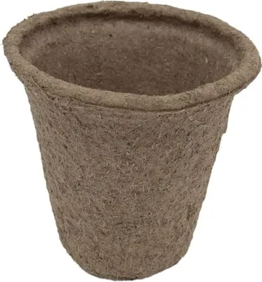 A single, brown, biodegradable seedling pot.
