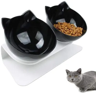 Produktbild von Katzen Futternapf, Doppelte Katzennäpfe mit erhöhtem Ständer, 15 ° geneigte Plattform Haustier Fressnapf und Wassernapf im Set, Doppelnapf Reduzieren Sie Nackenschmerzen für Katzen und Hunde