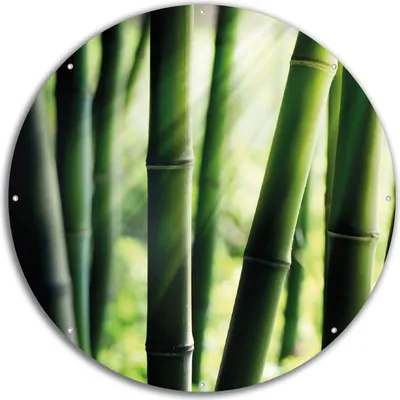 Produktbild von Wallario rundes Outdoor-Poster für Garten oder Balkon, Motiv Bambuswald und Sonnenstrahlen, 60 cm Durchmesser