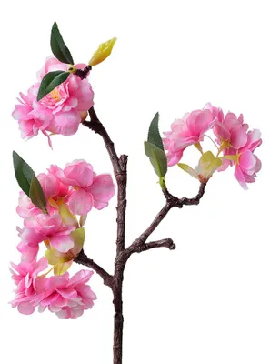 Imagen del producto de Clayre & Eef, flor artificial, 38 cm, color rosa, de plástico