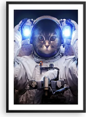 Produktbild von Gerahmtes Poster - Schwarzer Rahmen - Kosmonaut Katze - 50x70 cm - Wand Bild - Wanddeko - Wandbilder - Kunstposter - Wandposter - Bilderrahmen - Bilder - Kunstdruck - Wandbild - P2BPA50x70-3734