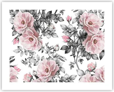 Produktbild von Poster - Poster ohne Rahmen - Blumen Blätter Pflanze Rose - 50x40 cm - Wand Bild - Wanddeko - Wandbilder - Kunstposter - Wandposter - Bilder - Kunstdruck - Wanddekoration - Wandbild - P2XAA50x40-2952
