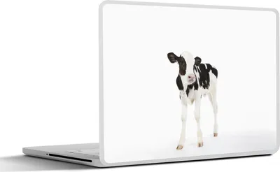 Produktbild von MuchoWow® Laptop Aufkleber Sticker Cover Kuh - Kalb - Weiß - Tiere 40x30 cm - Laptop Dekoration - Selbstklebend