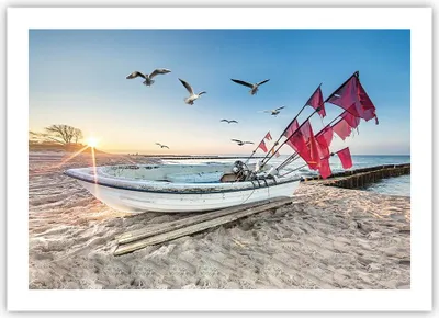 Produktbild von Poster - Poster ohne Rahmen - £ódŸ Küste Möwen - 70x50 cm - Wand Bild - Wanddeko - Wandbilder - Kunstposter - Wandposter - Bilder - Kunstdruck - Wanddekoration - Wandbild - P2XAA70x50-4779