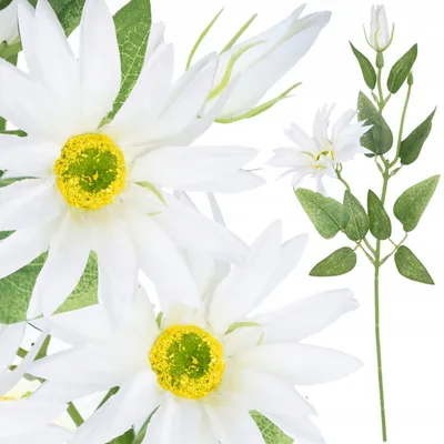 Obrázek produktu pro Topoblu Umělá květina Echinacea Bílá 54 cm Dekorace