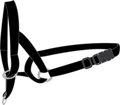 Image de Collier Educatif Easy anti traction