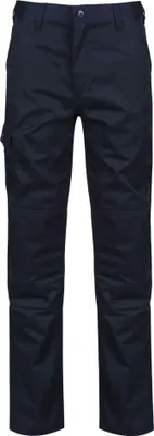 Immagine prodotto di Regatta Professional - Pantaloni da uomo RG3750 (W34) (Grigio blu)