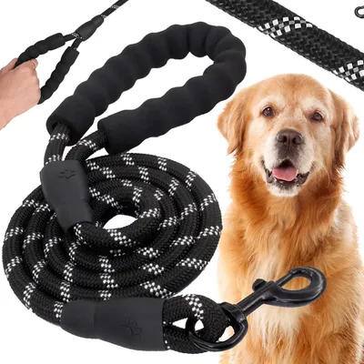 Productafbeelding van Hondenriem - Looplijn - Trainingslijn - Hondenlijn - 5 M - Tot 50 Kg