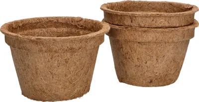 Zdjęcie produktu dla KOTARBAU® 3-czesciowy zestaw doniczek kokosowych 15,5x10 cm