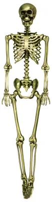 Produktbild von Goldenes Skelett – Halloweendeko 90 cm