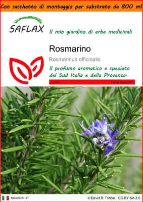 Immagine prodotto di SAFLAX Garden in the bag - Rosmarino - 100 semi - Rosmarinus