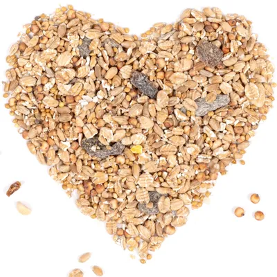 A heart-shaped pile of birdseed on a white background.