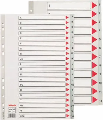 Obrázek produktu pro Esselte 100129, Šedá, Polypropylen (PP), A4, 245 mm, 3 mm, 297 mm