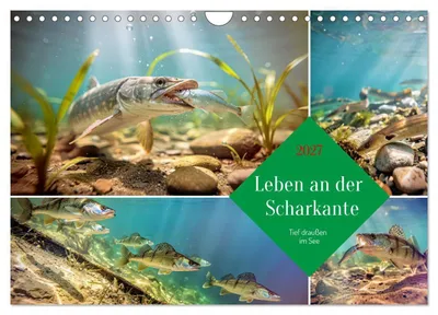 Produktbild von Leben an der Scharkante (Wandkalender 2027 DIN A4 quer), CALVENDO Monatskalender