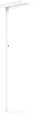 A white LED floor lamp on a white background.