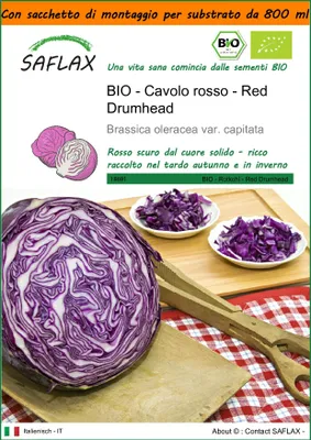 Immagine prodotto di SAFLAX Garden in the bag - BIO - Cavolo rosso - Red Drumhead - 250 semi - Brassica