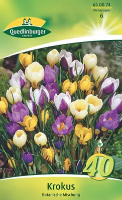 Artikelbild 2 von 'Krokus Botanische Mischung (40 Stück)' aus der Kategorie Krokuszwiebeln