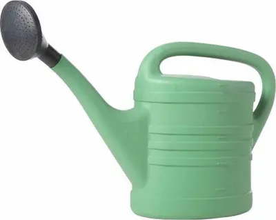 Produktbild von Bellatio Gieskanne - grun - Kunststoff - mit Sprinklerkopf - 5 Liter