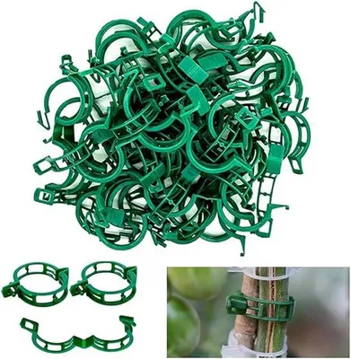 Produktbild von Famanu Pflanzenclips 100 Stück - Robuste, wiederverwendbare Klemmen für Kletterpflanzen - Grün