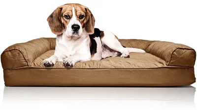 Image de Lit orthopédique pour chien de taille moyenne, modèle "canapé" matelassé, avec housse amovible et lavable