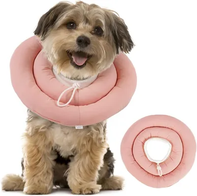 Immagine prodotto di Collare protettivo per cani, morbido, impermeabile, taglia L, ideale per il periodo post-operatorio