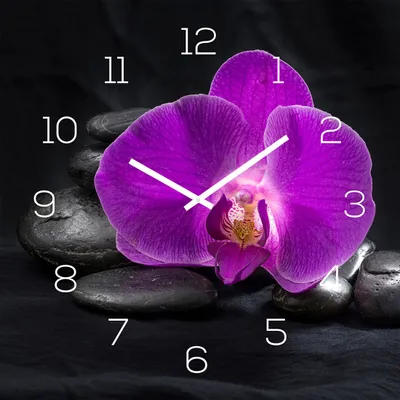 Produktbild von levandeo Wanduhr Glas 30x30cm Glasuhr Uhr Glasbild Rosa Orchidee Schwarz Deko