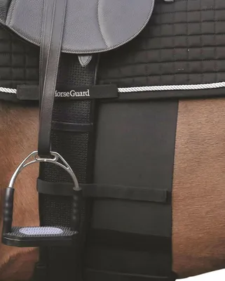 Produktbild von Sporenschutzgurt HorseGuard schwarz in F/S