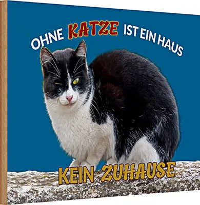 Produktbild von Holzschild Spruch 30x20cm Ohne Katze kein Zuhause