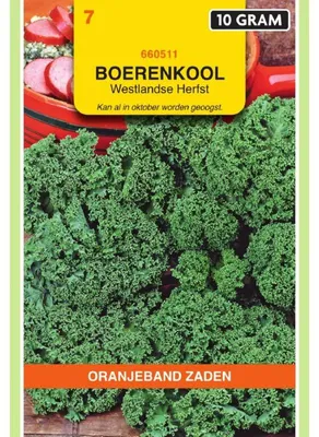 Obrázok produktu pre Oranjeband, kapusta hlávková odrody Westländer, polorastúca, 10 g – 1 balenie semien