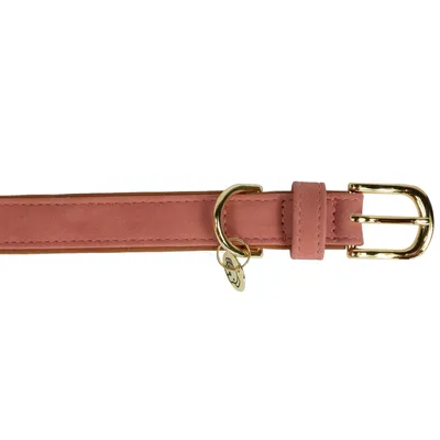 Produktbild von Kentucky Dogwear Hundeleine  Peach