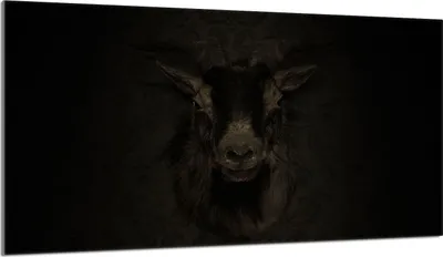Immagine prodotto di Piastra copri fornelli 90x52 Piastra copri piano cottura in Vetroceramica alzatina in vetro tagliere deco, animale cervo