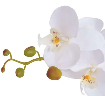 Obrázek produktu pro vidaXL Umělá orchidej s květináčem 75 cm bílá