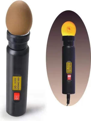 Produktbild von Geleid Eimeetapparaat für Ei-Inkubator - Hochintensive LED-Eierbeleuchtung